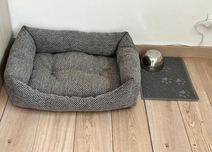 Oasi Udinese Charme Nel Cuore Della Citta * Udine